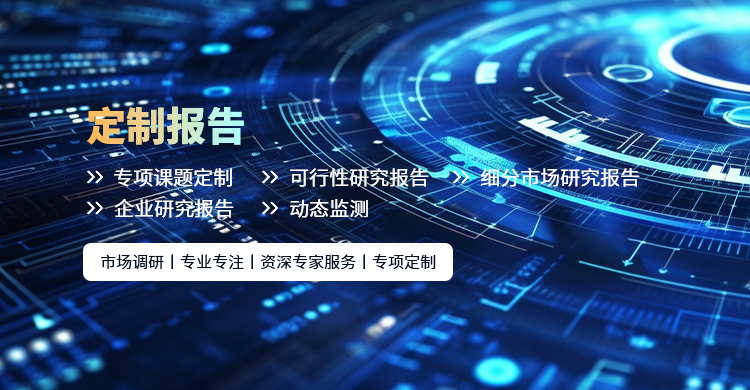 定制报告