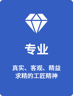 专业