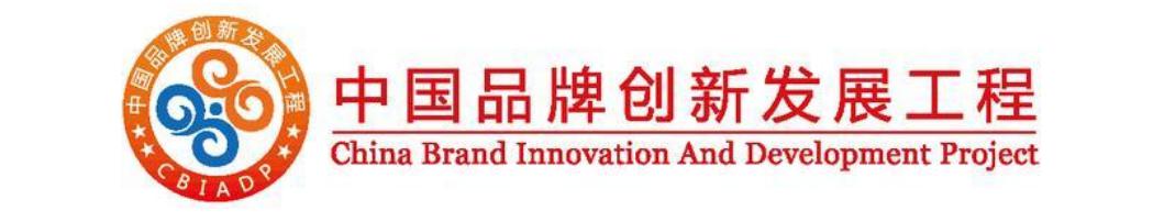 中国品牌创新发展工程