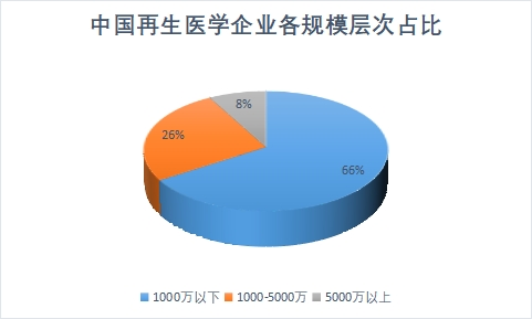 各规模层次企业规模占比
