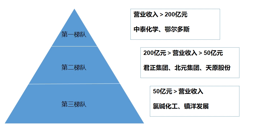 市场梯队