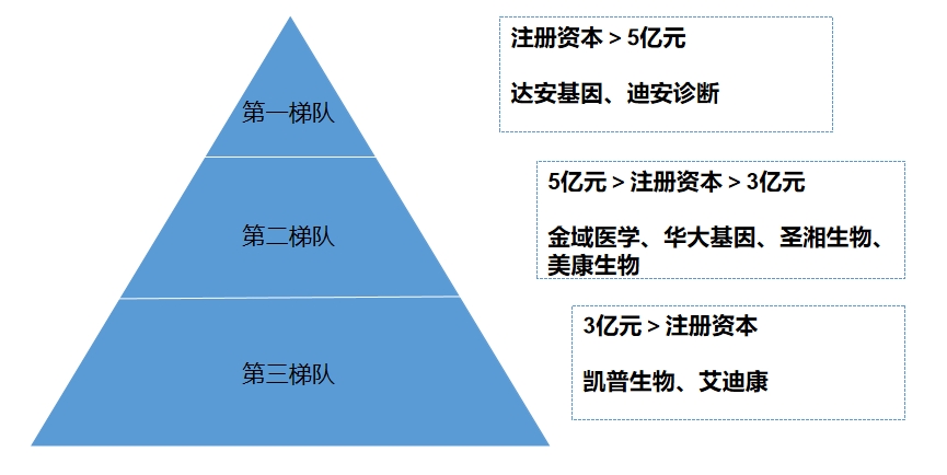 市场梯队