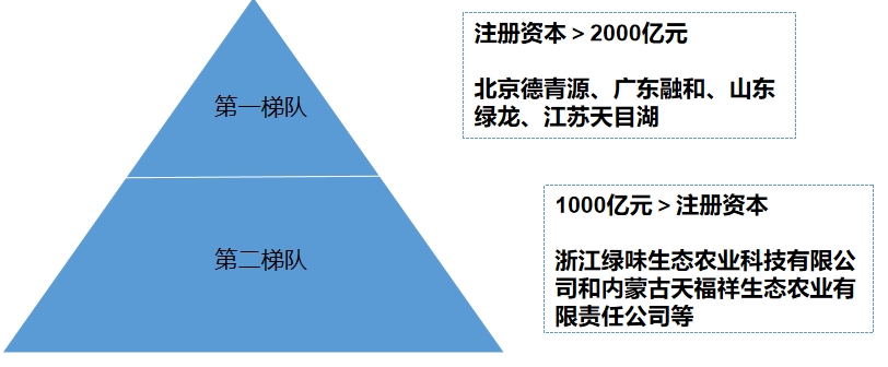 市场梯队