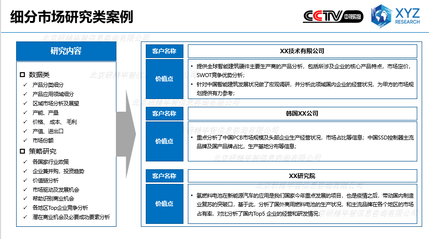 细分市场研究类案例