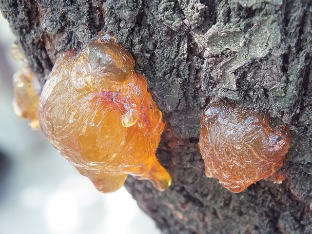 全球合成树脂市场调研