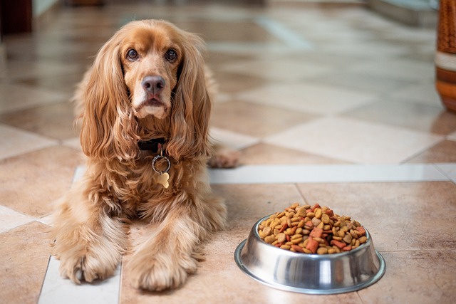 全球宠物食品行业现状分析
