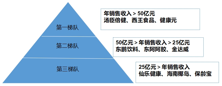 中国功能食品行业调研