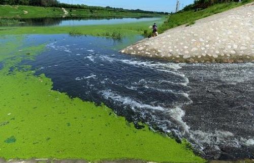 《农村治理黑臭水体指南》解读