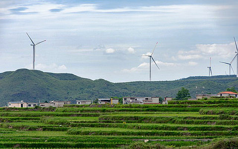 浙江：新增风光8GW+，以竞配方式推动省管海域风电“应开尽开”