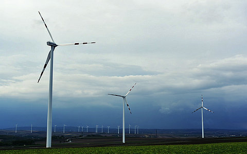风电运维月度动态监测（2024年2月）