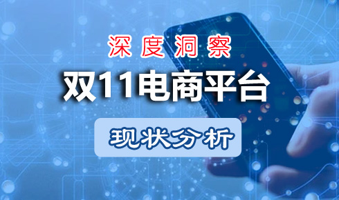 2023年双11电商平台现状分析