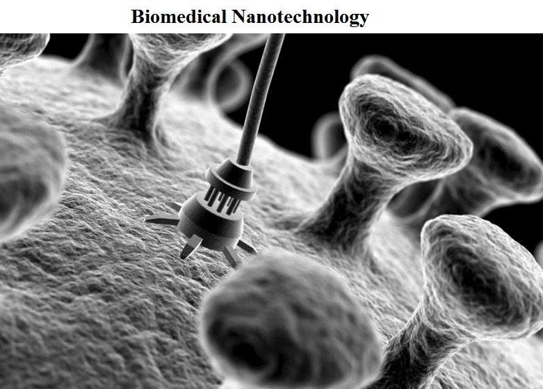 全球生物医学纳米技术市场调研报告