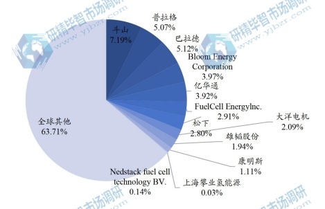 全球氢燃料电池主要企业产值占比 (2019-2020) 全球氢燃料电池主要企业产值占比 (2019-2020)
