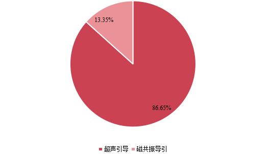 2021年全球不同类型高强度聚焦超声系统产量市场份额 2021年全球不同类型高强度聚焦超声系统产量市场份额
