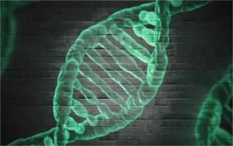 调研报告:中国合成生物学市场全景图谱