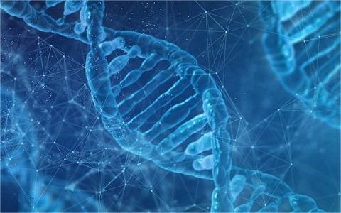 2024年全球及中国合成生物学行业现状及前景调研报告