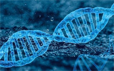 中国合成生物学行业:多维度发展环境分析与展望