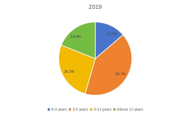 2019年韩国玩具销售市场份额（按应用）