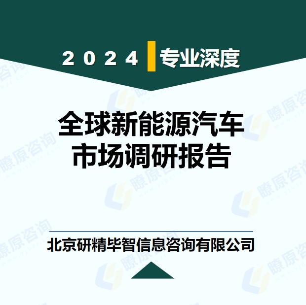 全球新能源汽车市场调研报告