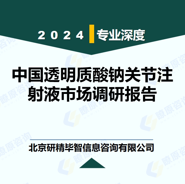 中国透明质酸钠关节注射液市场调研报告