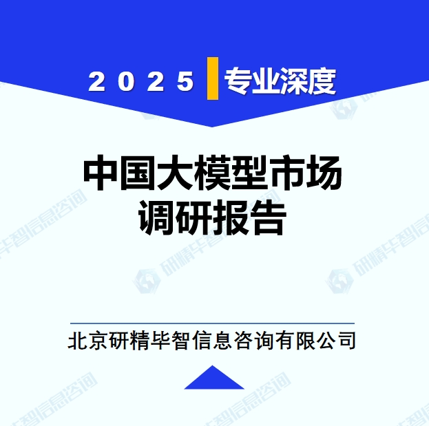 中国大模型市场调研报告