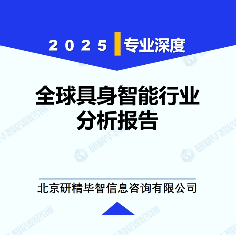 全球具身智能行业分析报告