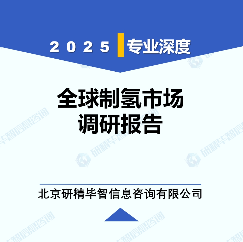 制氢季度动态监测调研报告（2025年第二季度）