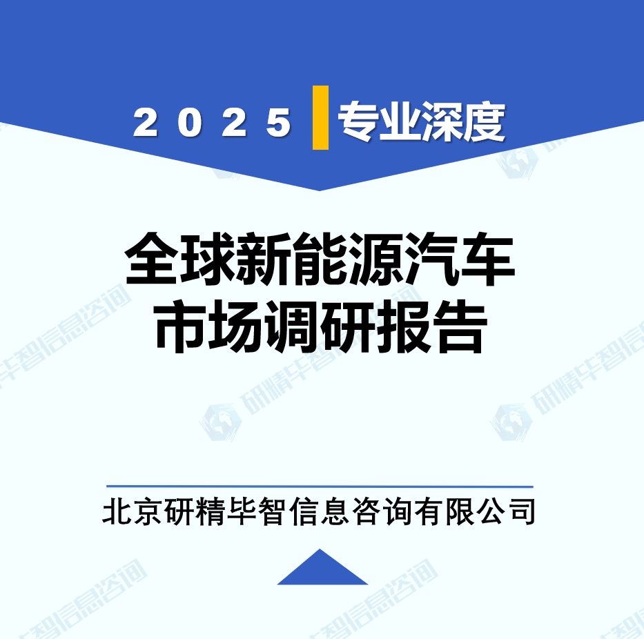 新能源汽车年度动态监测调研报告（2025年）