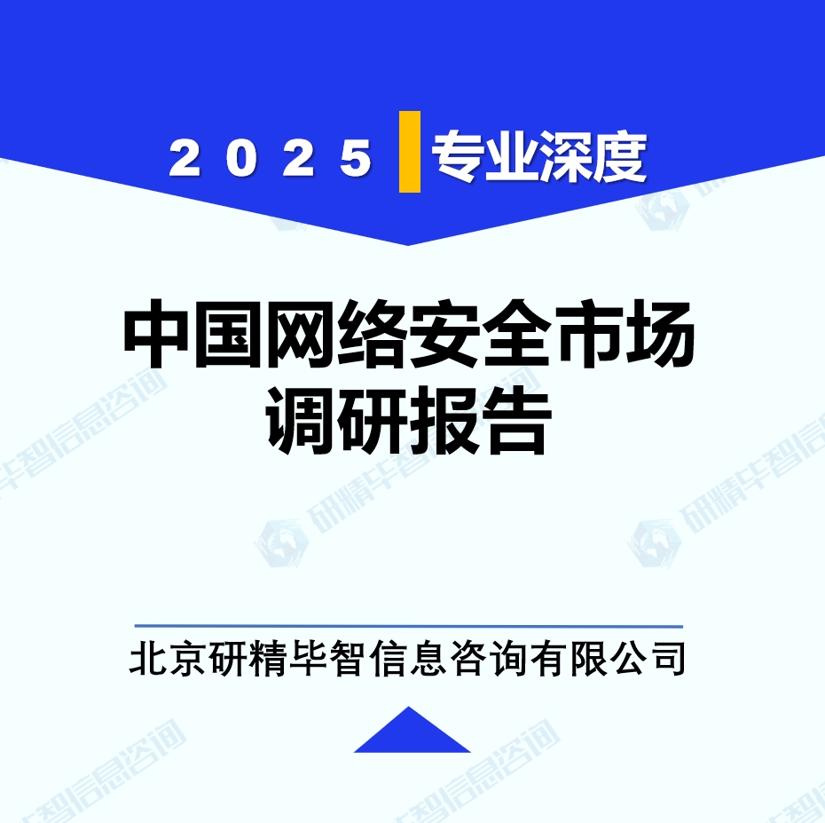 中国网络安全市场调研报告