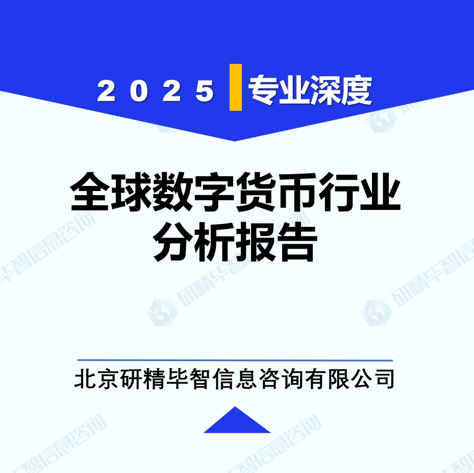全球数字货币行业分析报告