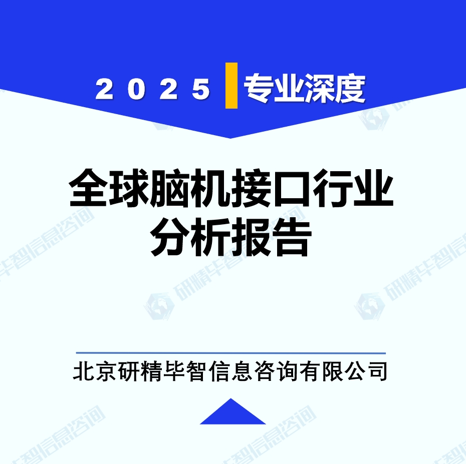 全球脑机接口行业分析报告
