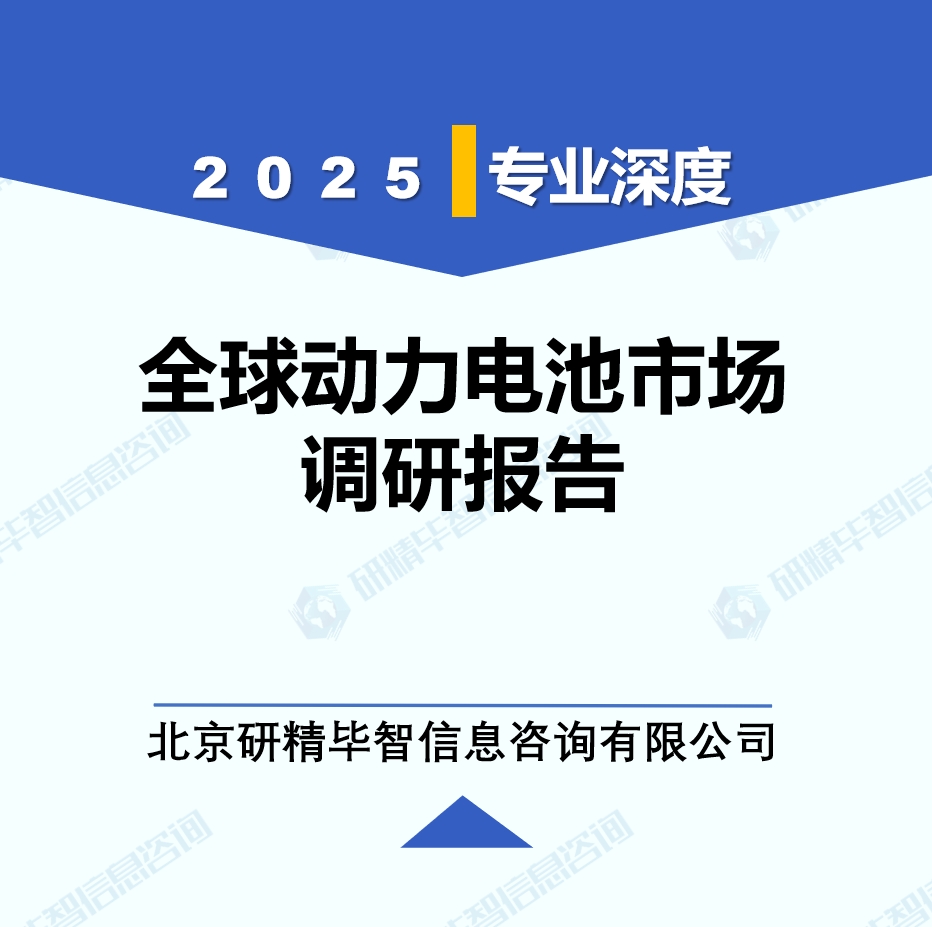 动力电池年度动态监测调研报告（2025年）