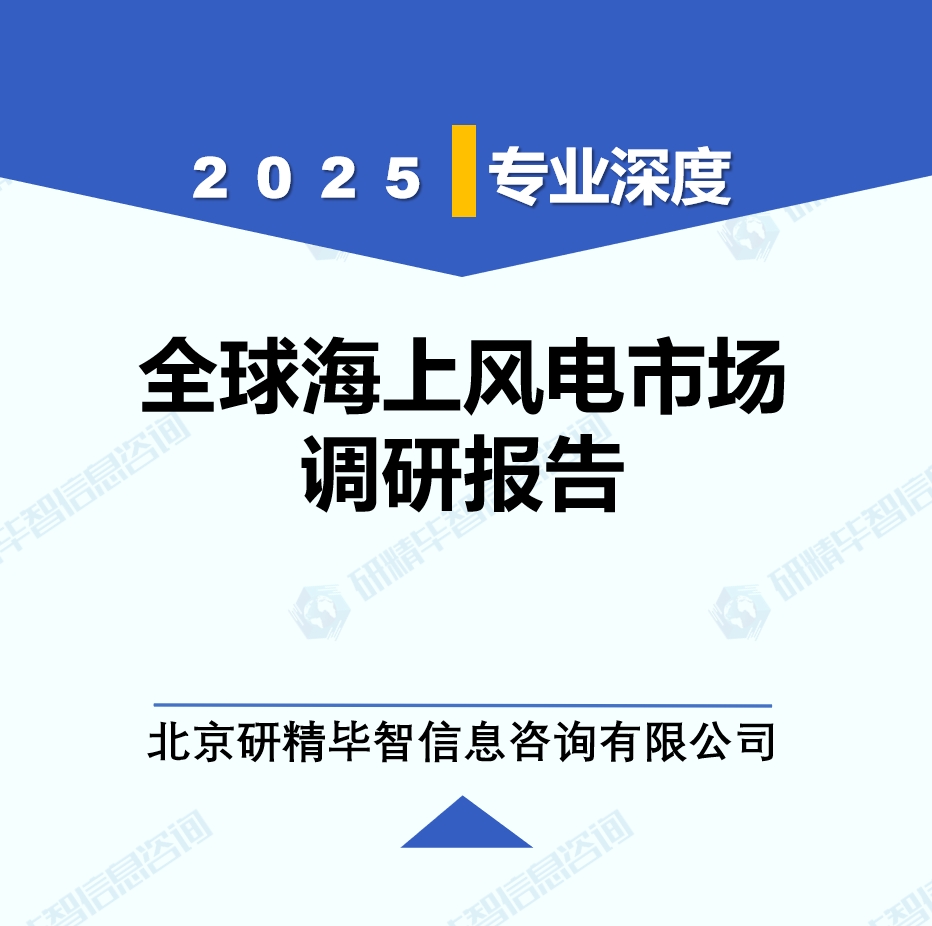 海上风电行业动态监测调研报告（2025年6月）