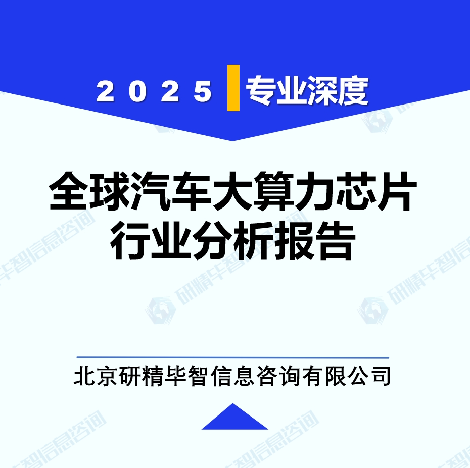 全球汽车大算力芯片行业分析报告