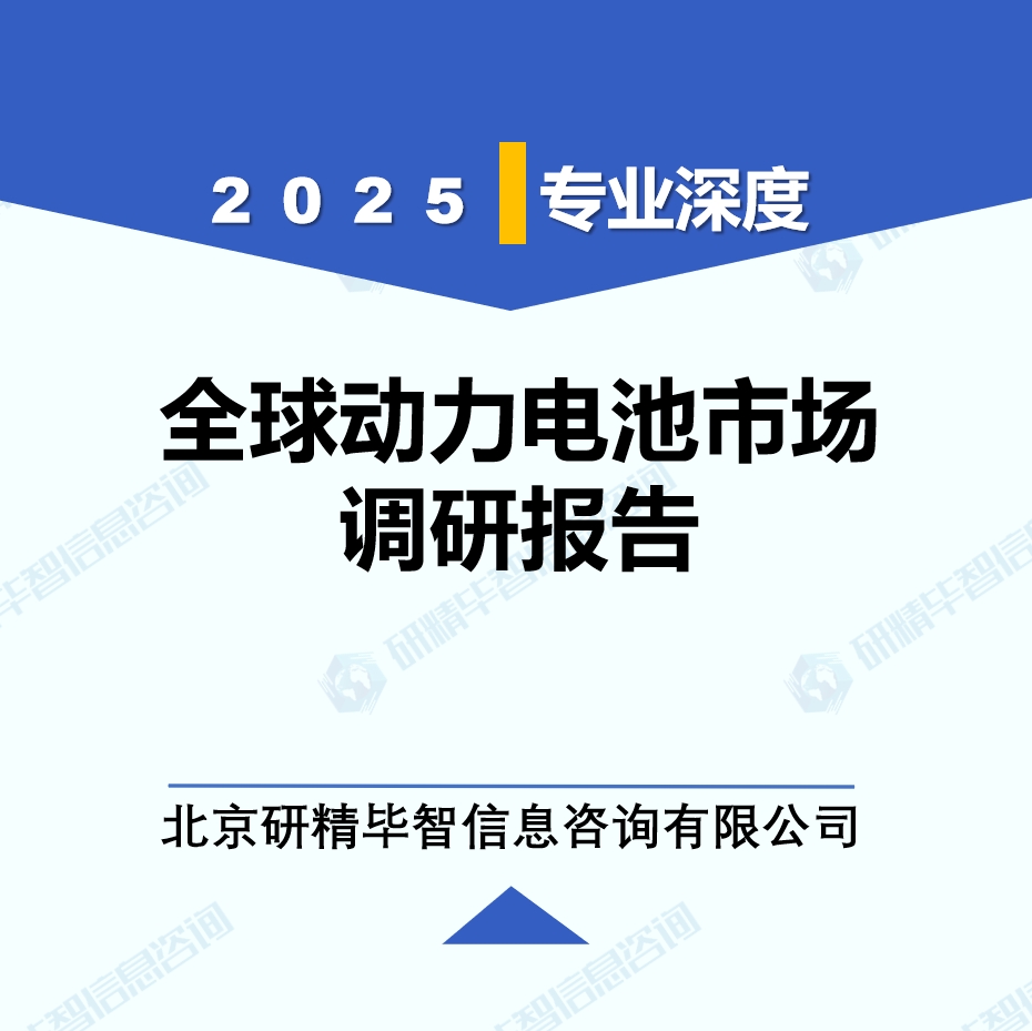 动力电池月度动态监测调研报告（2025年6月）