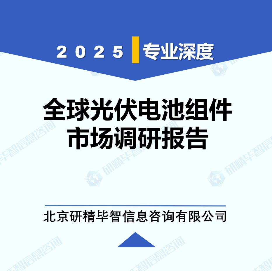 光伏电池组件年度动态监测调研报告（2025年）