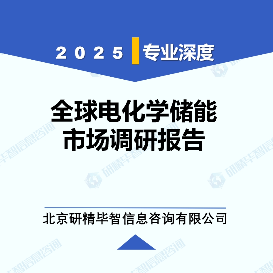 电化学储能月度动态监测调研报告（2025年6月）