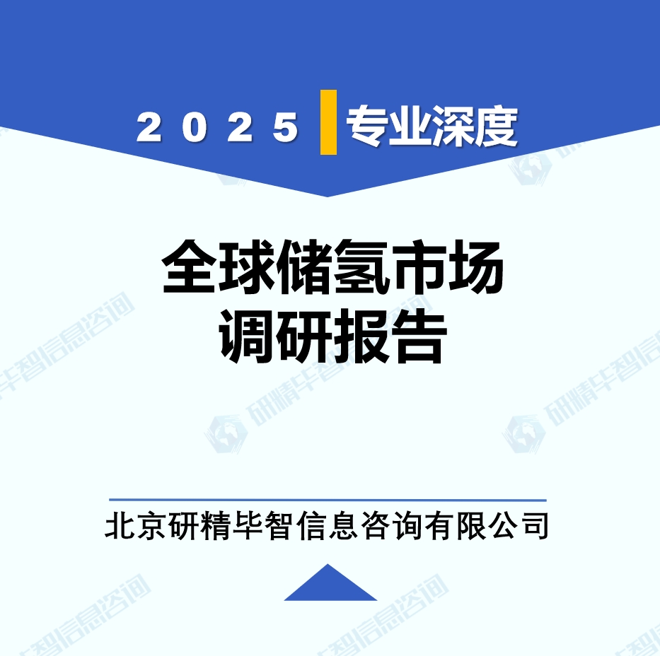 制氢行业动态监测调研报告（2025年6月）