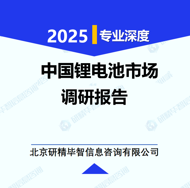 中国锂电池市场调研报告