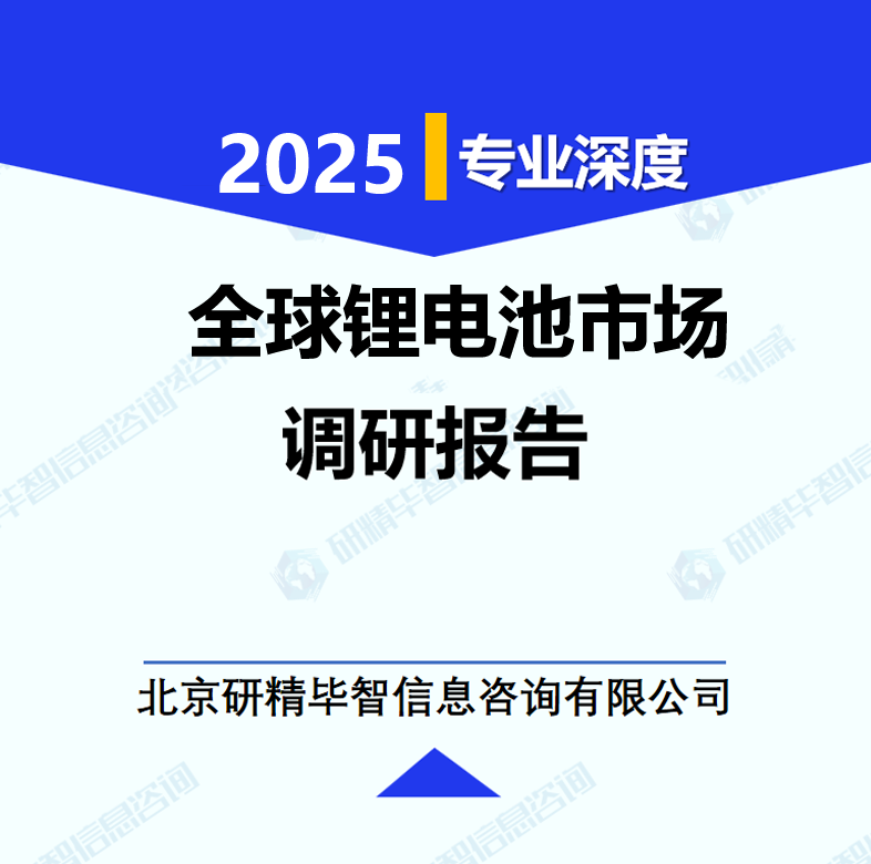 全球锂电池市场调研报告