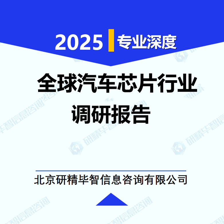 全球汽车芯片行业调研报告