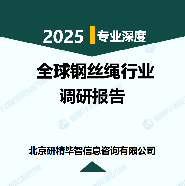 2025-2031年全球钢丝绳行业市场调研及发展前景分析报告