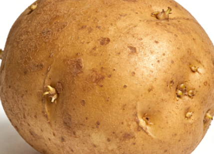 全球土豆产业市场格局与市场消费结构深度解析 全球土豆产业市场格局与市场消费结构深度解析