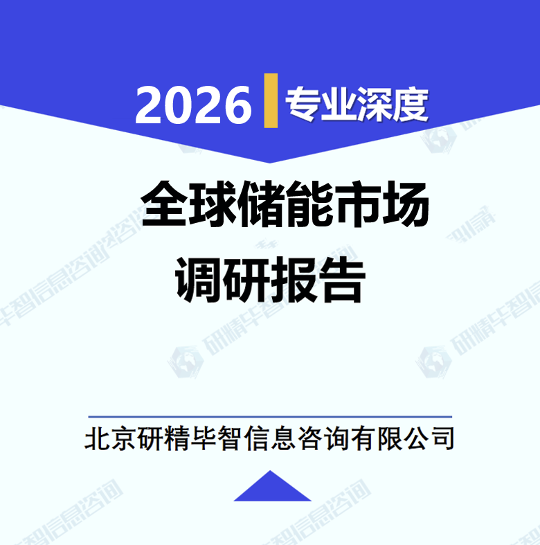 全球储能市场调研报告