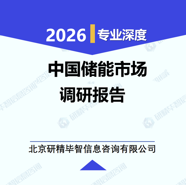 中国储能市场调研报告