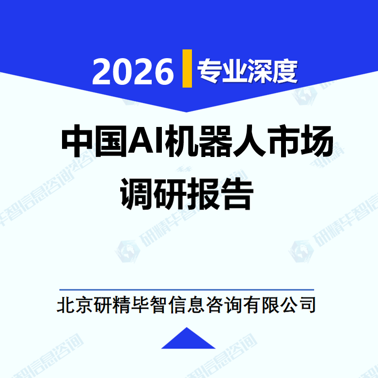中国AI机器人市场调研报告