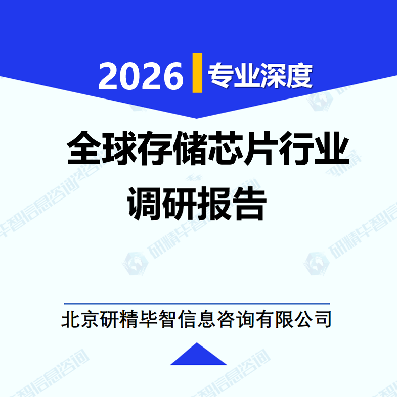 全球存储芯片行业调研报告