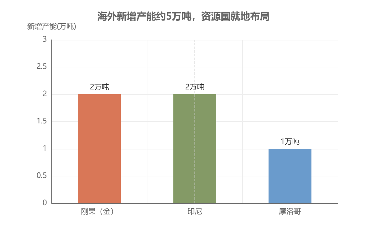 2025-2026年海外精炼钴新增产能分布