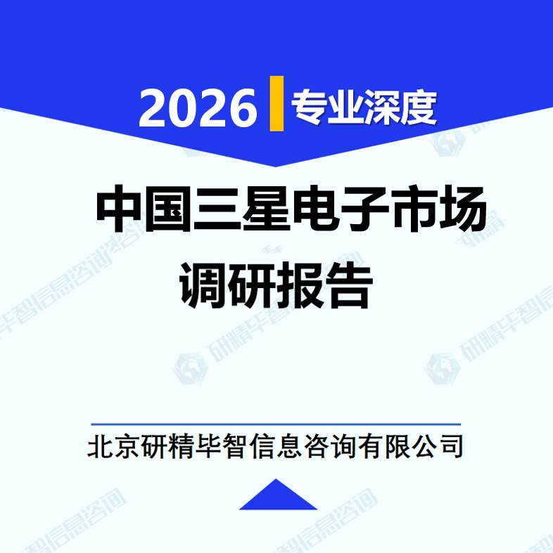 中国三星电子市场调研报告