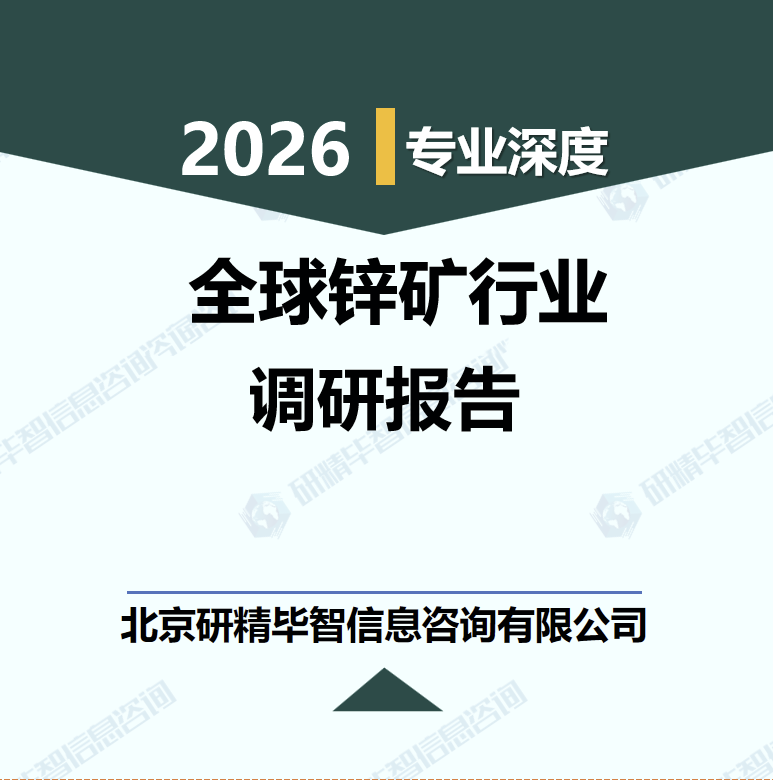 2026-2030年全球锌矿行业资源分布与投资策略分析研究报告